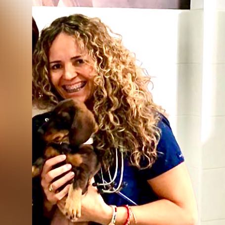 VetCare Hospital Veterinario